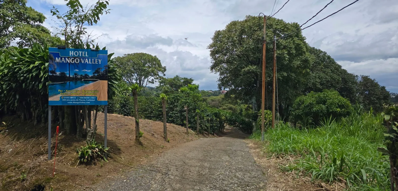 Hotel Mango Valley entrance sign along the driveway, surrounded by tropical greenery